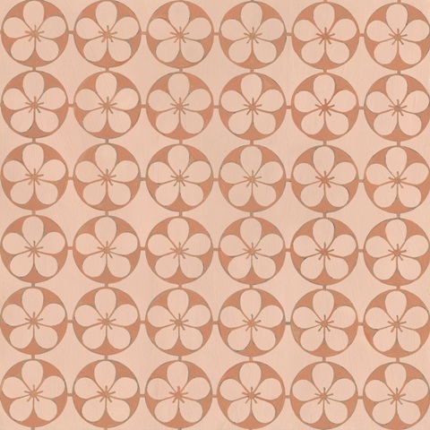 Whimsical Kitchen Collection F