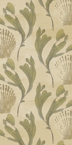 Wild Caught Collection B