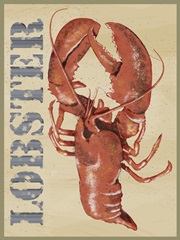 Wild Caught Collection D