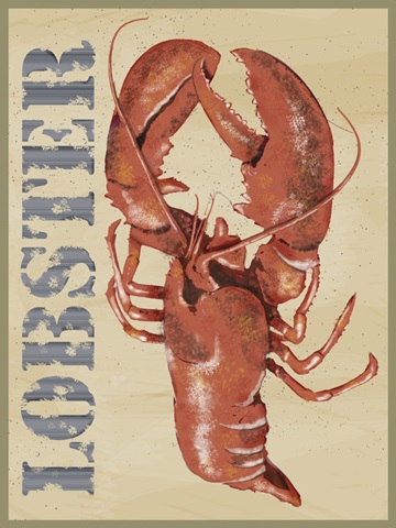 Wild Caught Collection D