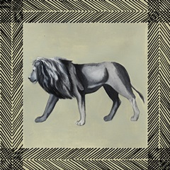 Wild Safari Collection E