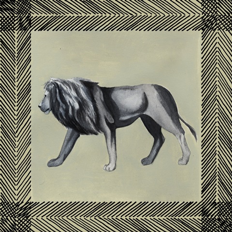 Wild Safari Collection E