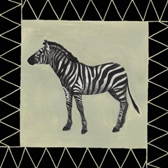 Wild Safari Collection G