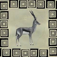 Wild Safari Collection H