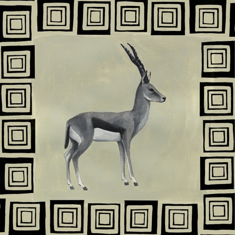 Wild Safari Collection H