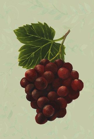 Wine Country Collection D