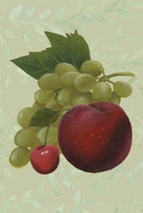 Wine Country Collection F