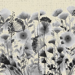 Winsome Flora Collection A