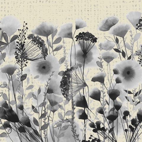 Winsome Flora Collection A