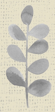 Winsome Flora Collection B