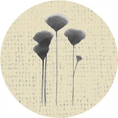 Winsome Flora Collection F