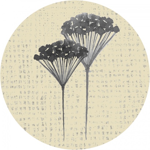 Winsome Flora Collection G