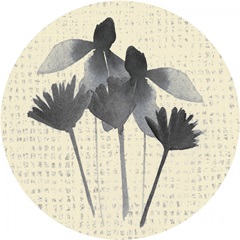 Winsome Flora Collection H