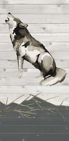 Woodland Welcome Collection B