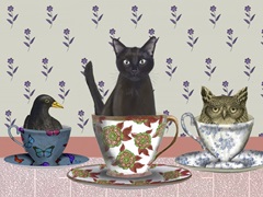 A Spot of Tea Collection A