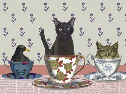 A Spot of Tea Collection A