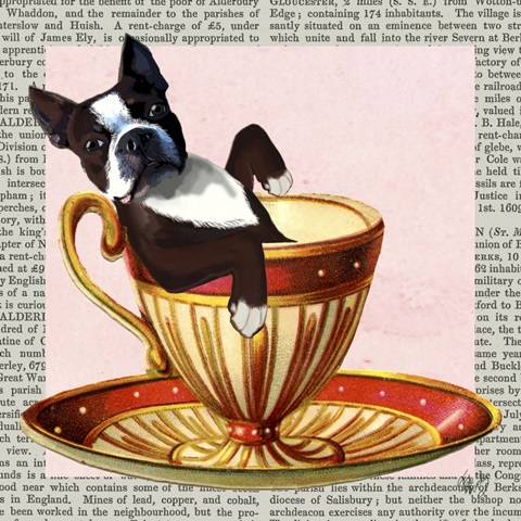 A Spot of Tea Collection C