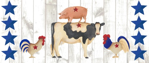 America Collection D