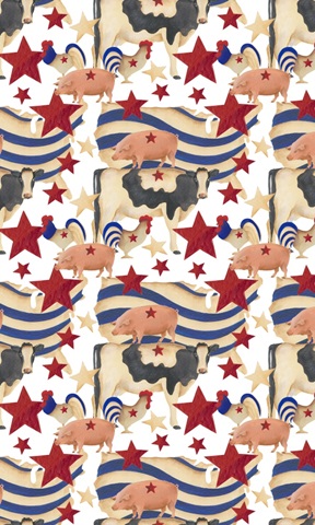 America Collection E