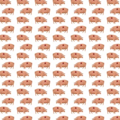 America Collection I