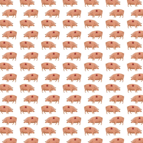 America Collection I