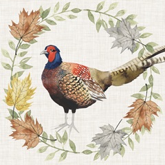 Autumn Animals Collection F