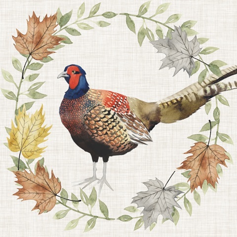 Autumn Animals Collection F