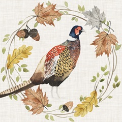 Autumn Animals Collection H