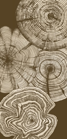 Autumn Woodland Collection B