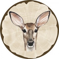 Autumn Woodland Collection E