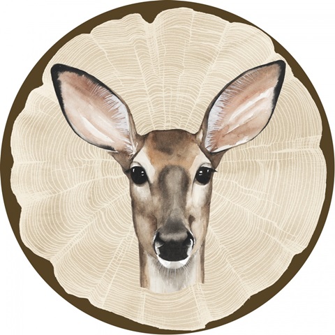 Autumn Woodland Collection E