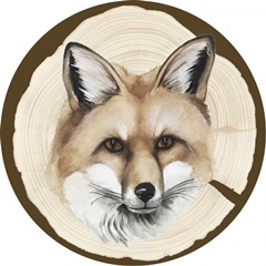 Autumn Woodland Collection F