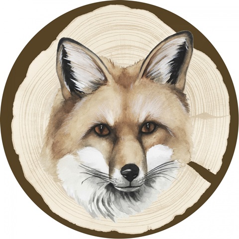 Autumn Woodland Collection F