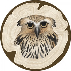 Autumn Woodland Collection G