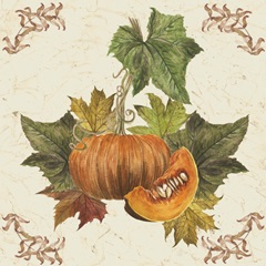 Autumn's Bounty Collection A