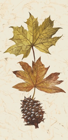 Autumn's Bounty Collection B