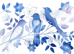 Avian Twilight Collection A