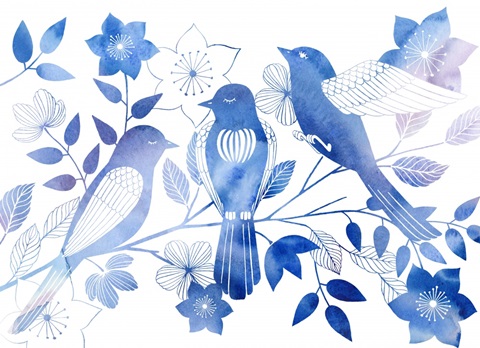 Avian Twilight Collection A