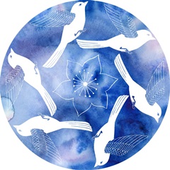 Avian Twilight Collection C