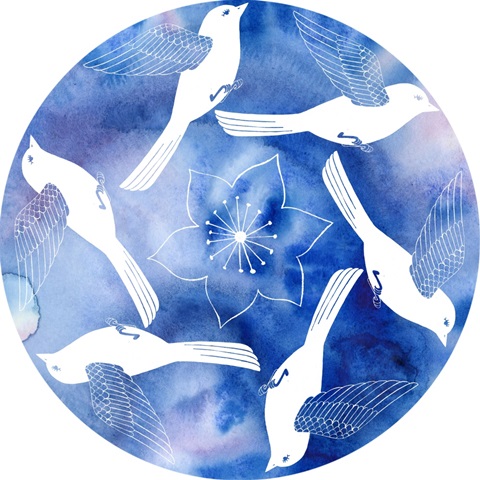 Avian Twilight Collection C