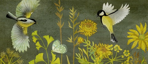 Birding Collection H