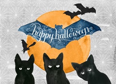 Black Cat Collection A