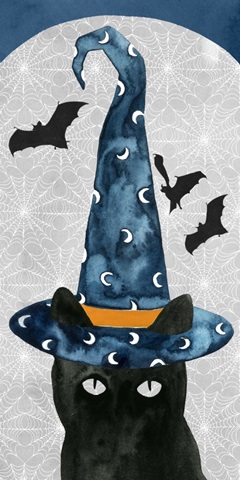 Black Cat Collection B