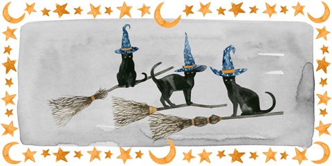 Black Cat Collection D