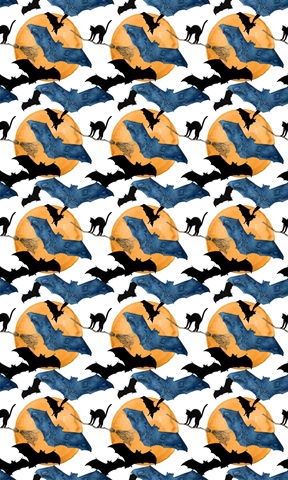 Black Cat Collection E