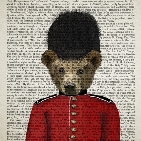 British Invasion Collection C