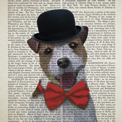 British Invasion Collection D