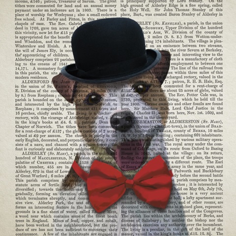 British Invasion Collection D