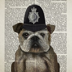 British Invasion Collection F