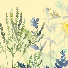 Butterfly Garden Collection C